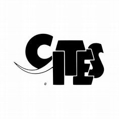 CITES-guide: Hvordan sjekke om eksotisk skinn er lovlig i Norge