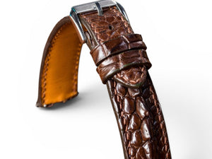 Alligator Hornback klokkerem