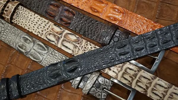 Crocodile Hornbacks i 7 farger