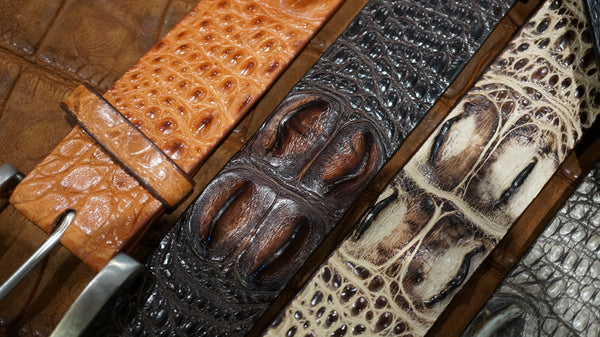 Hornback Crocodiles