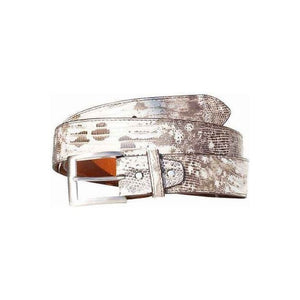 Teju Lizard - liten øgle fra Bolivia og Argentina,Luxury belts menBlack & white natural
