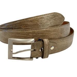 Teju Lizard - liten øgle fra Bolivia og Argentina, Luxury belts men Taupe
