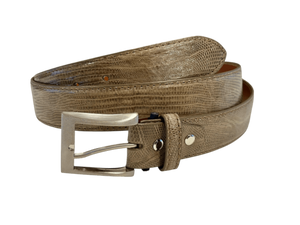 Teju Lizard - liten øgle fra Bolivia og Argentina, Luxury belts men Taupe