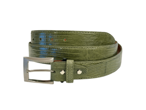 Teju Lizard - liten øgle fra Bolivia og Argentina, Luxury belts men Olive