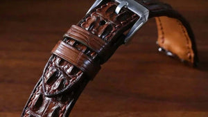 Double Hornback Alligator 26x22 mm