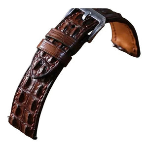 Brown Hornback Gator two lines