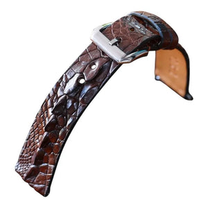 Brown Hornback Gator one line