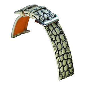 Ivory White Alligator (small scale)