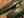 BREDAL Watch straps men Wild Alligator Watch Straps. Men. Bottle green.